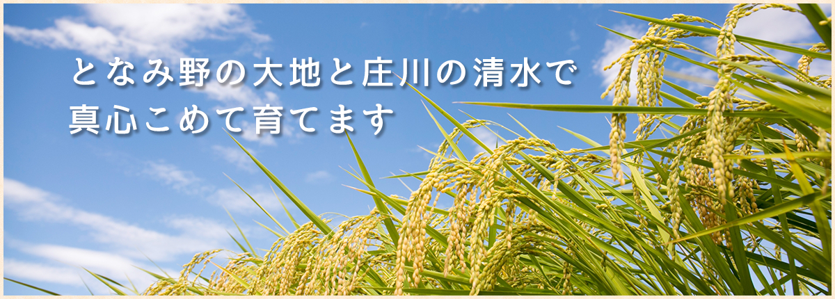 となみの大地と清水で心をこめて育てます