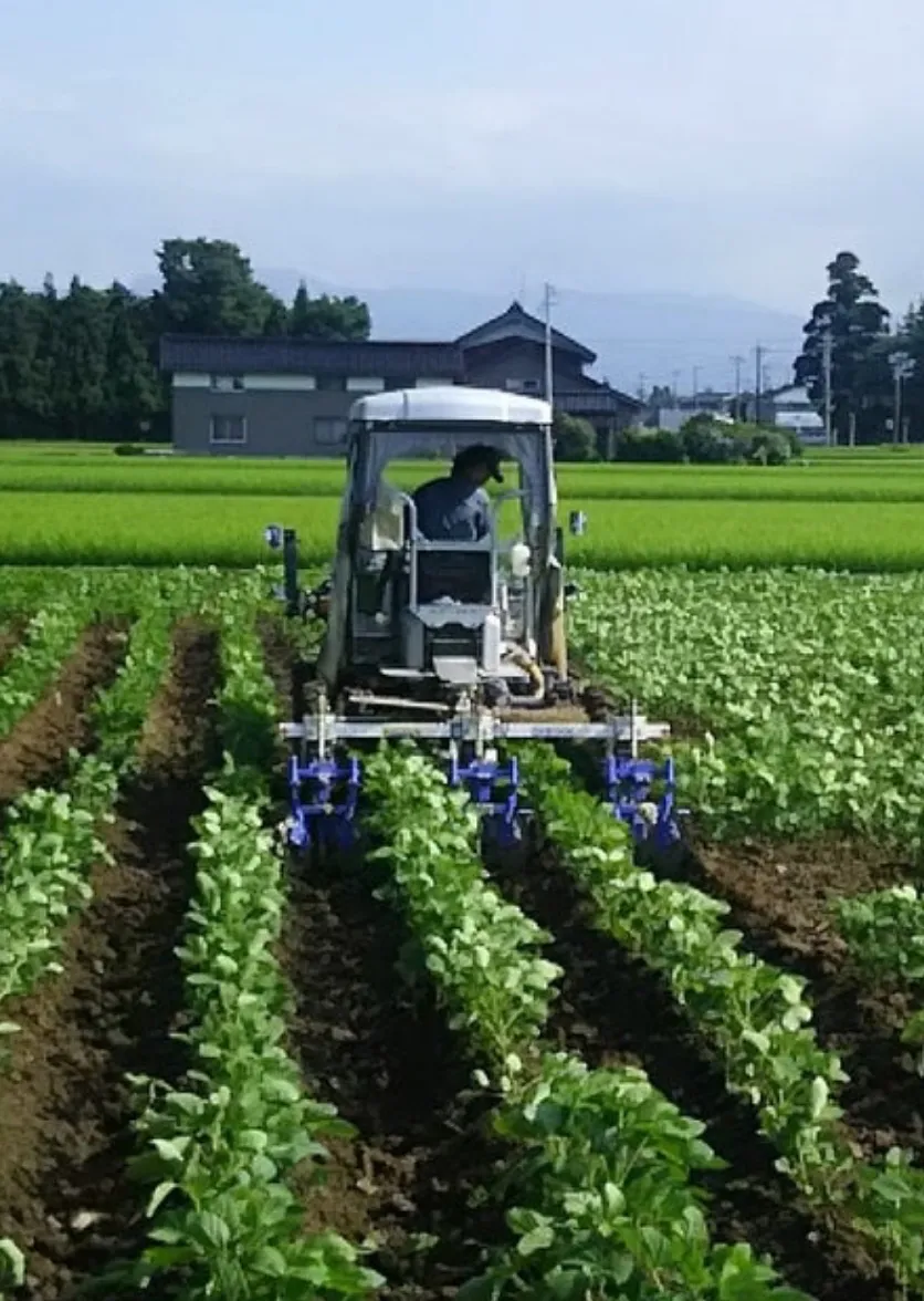 大豆の栽培・収穫イメージ